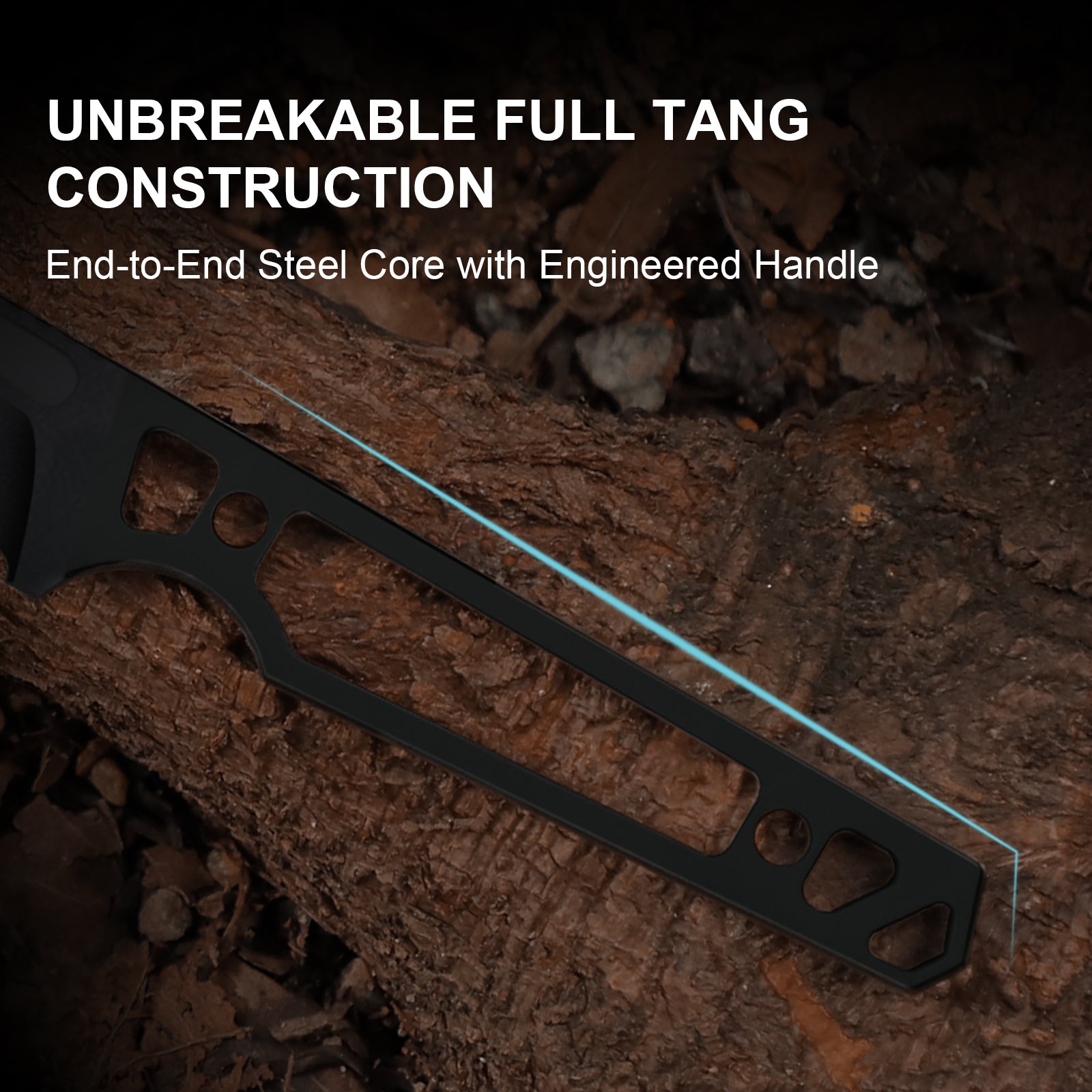 Phasmids | AEB-L | G10 | 1079A1