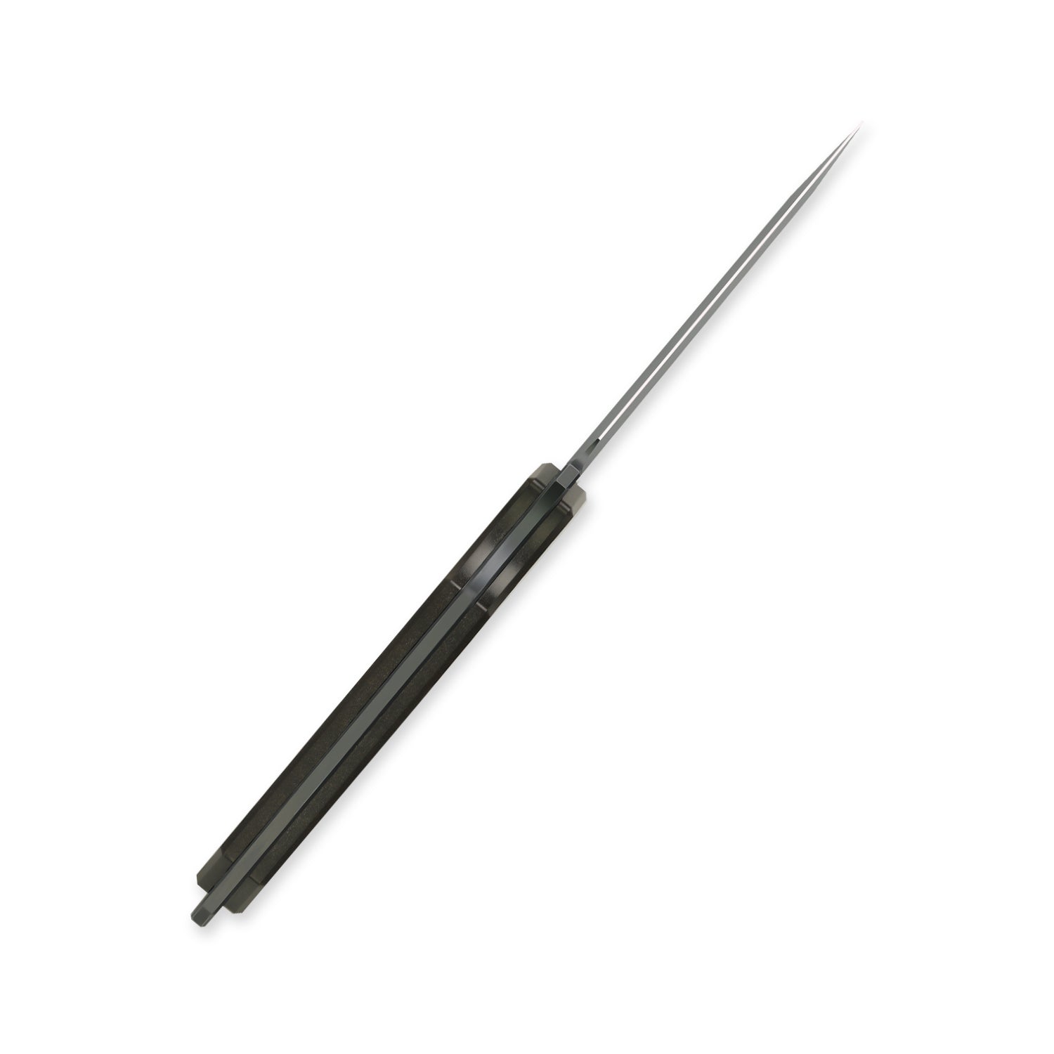 Phasmids | AEB-L | Chocolate Glacier | 1079A2