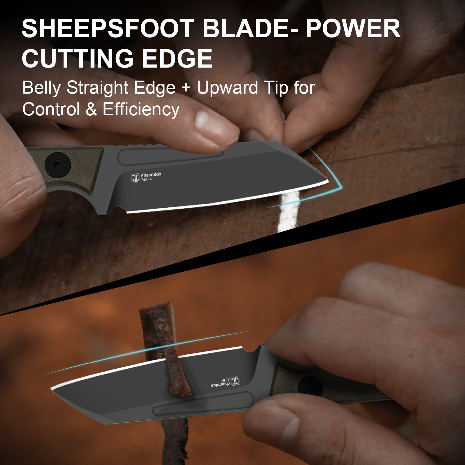 Phasmids | AEB-L | Chocolate Glacier | 1079A2