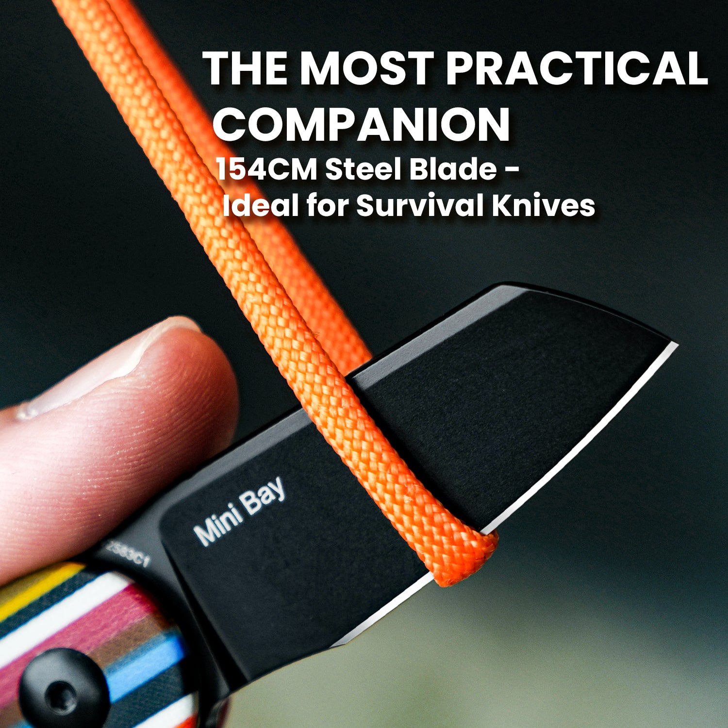 Mini Bay | 154CM | G10 | V2583C1