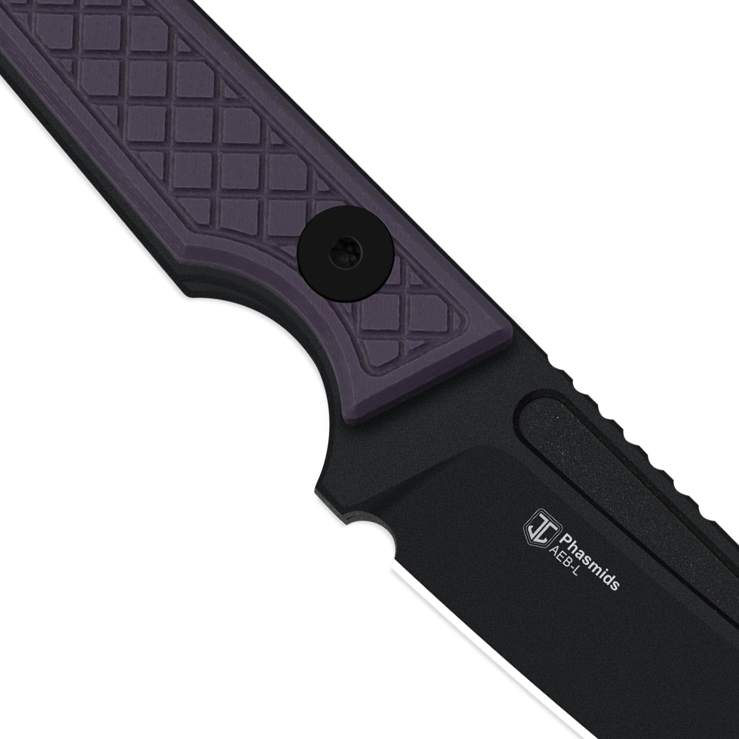 Phasmids | AEB-L | G10 | 1079A1