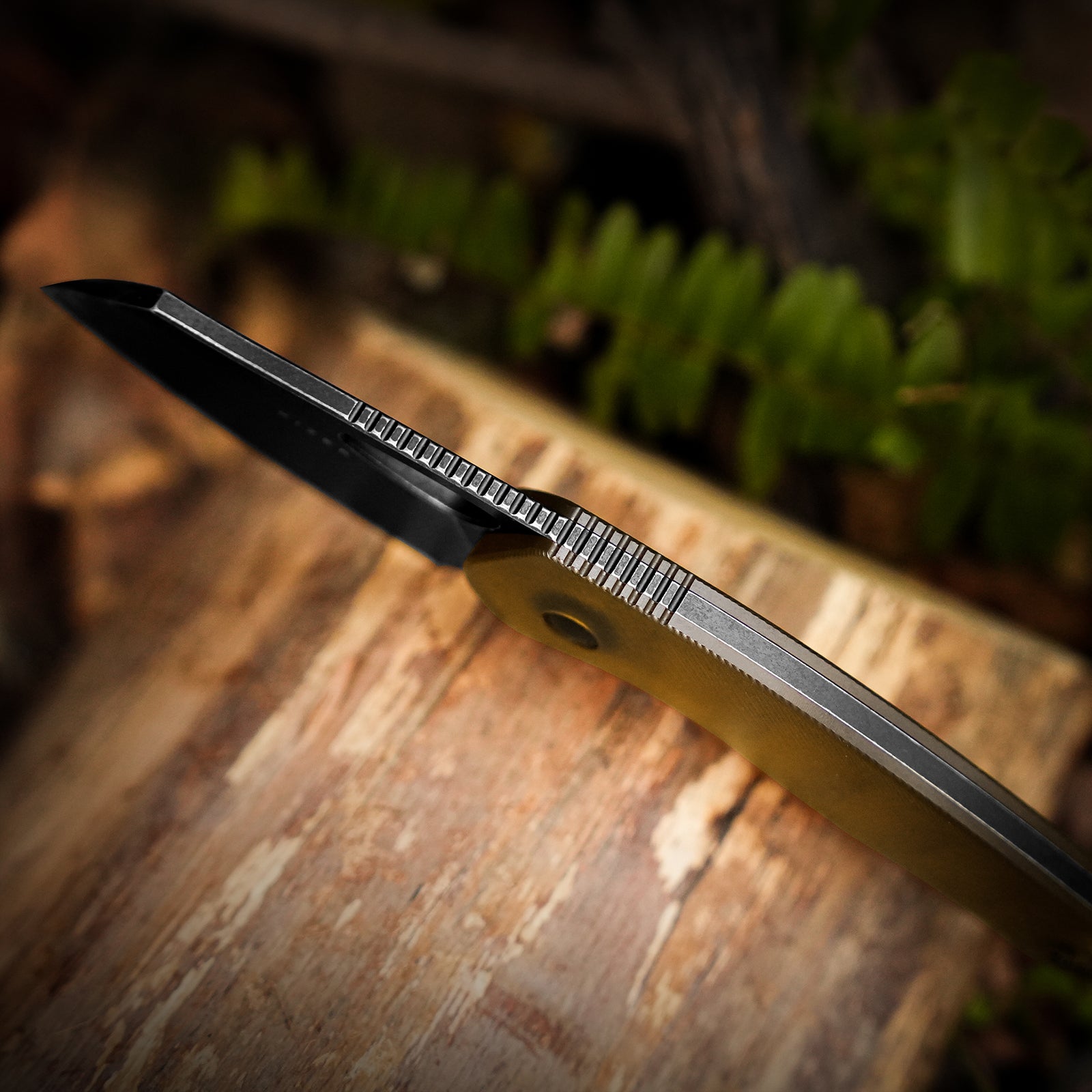 Hornet | Bee Belly Hollowed-out Handle | 14C28N | Fixed Blade | KizerV™ 1074A1