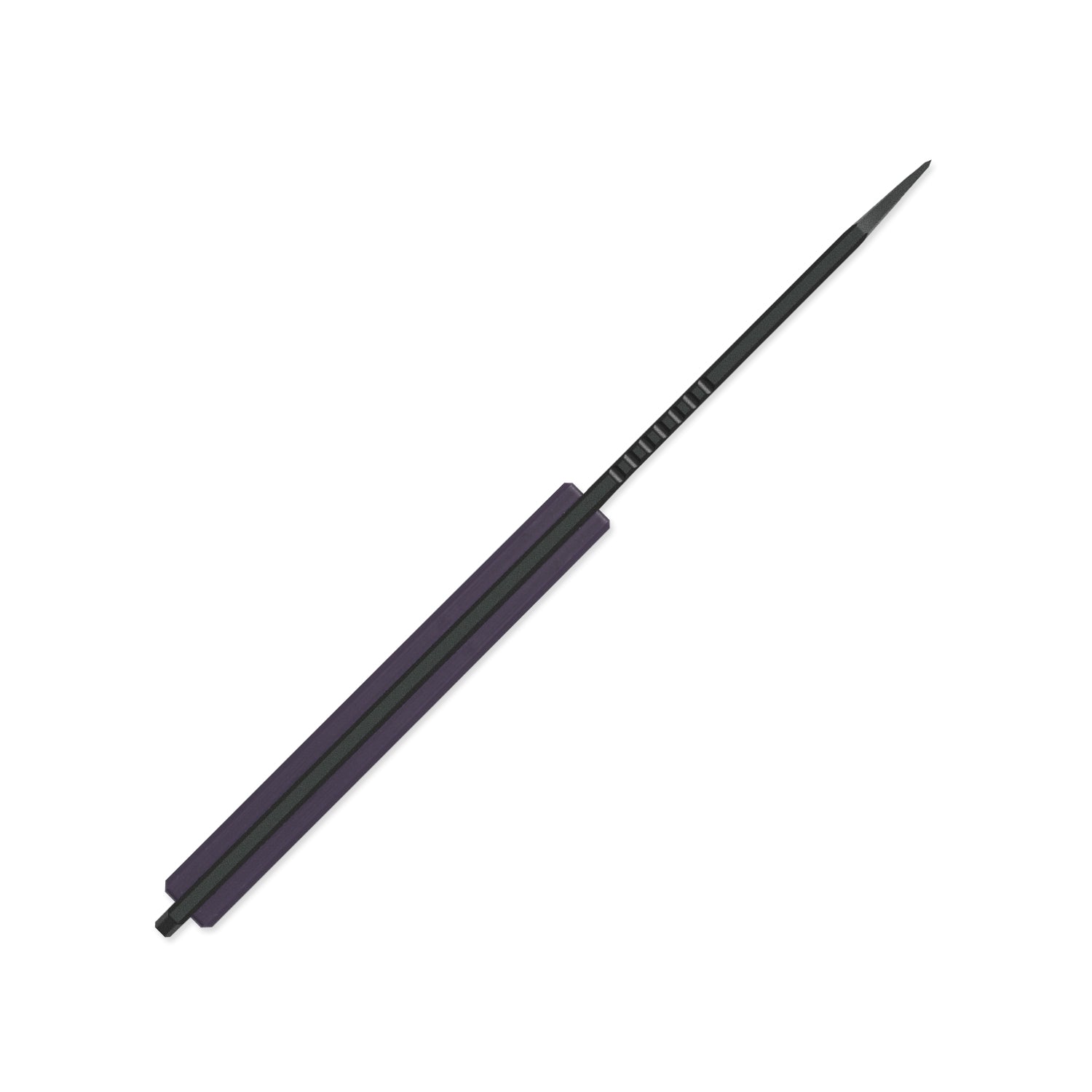 Phasmids | AEB-L | G10 | 1079A1