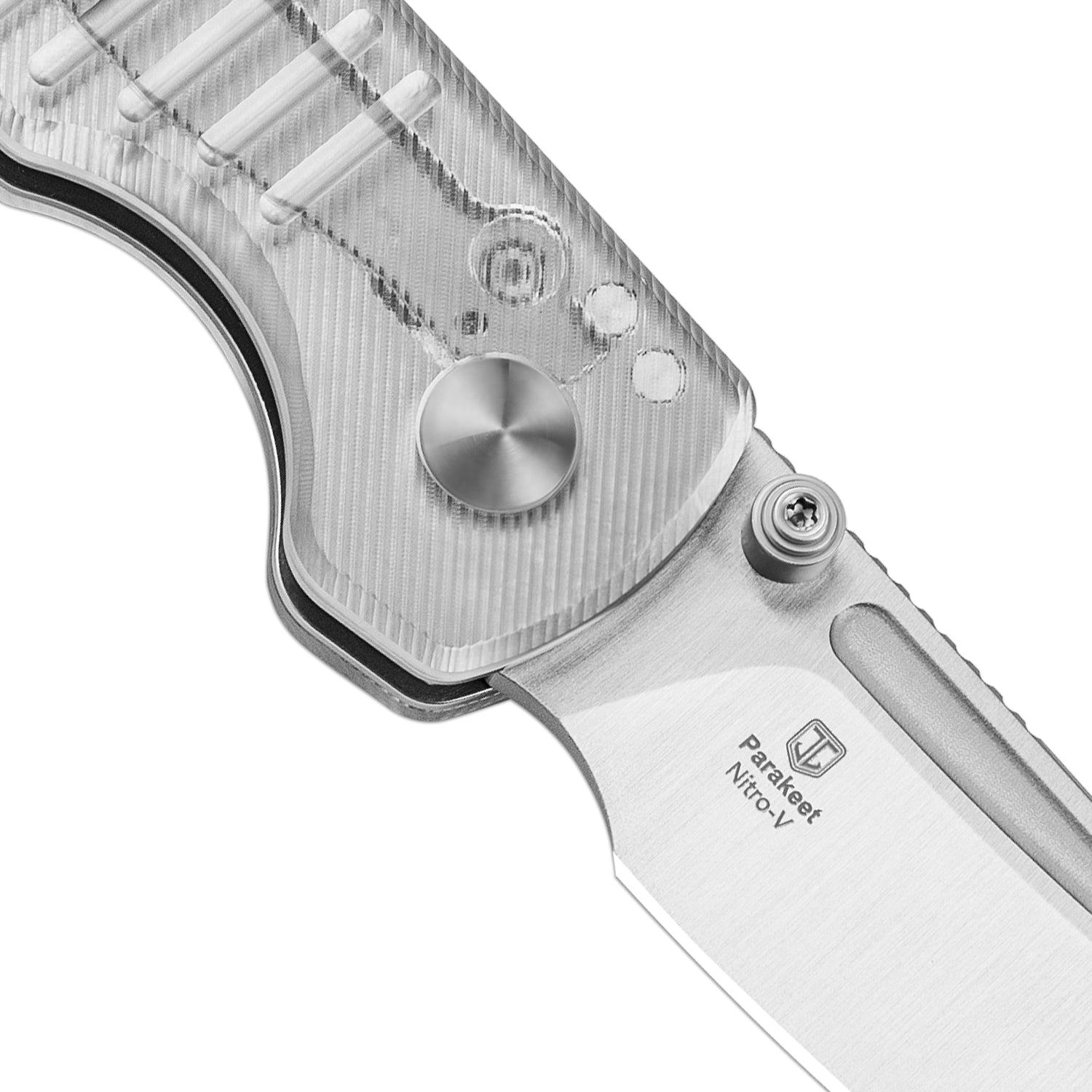 Parakeet | Nitro-V | Acrylic| V2706A2