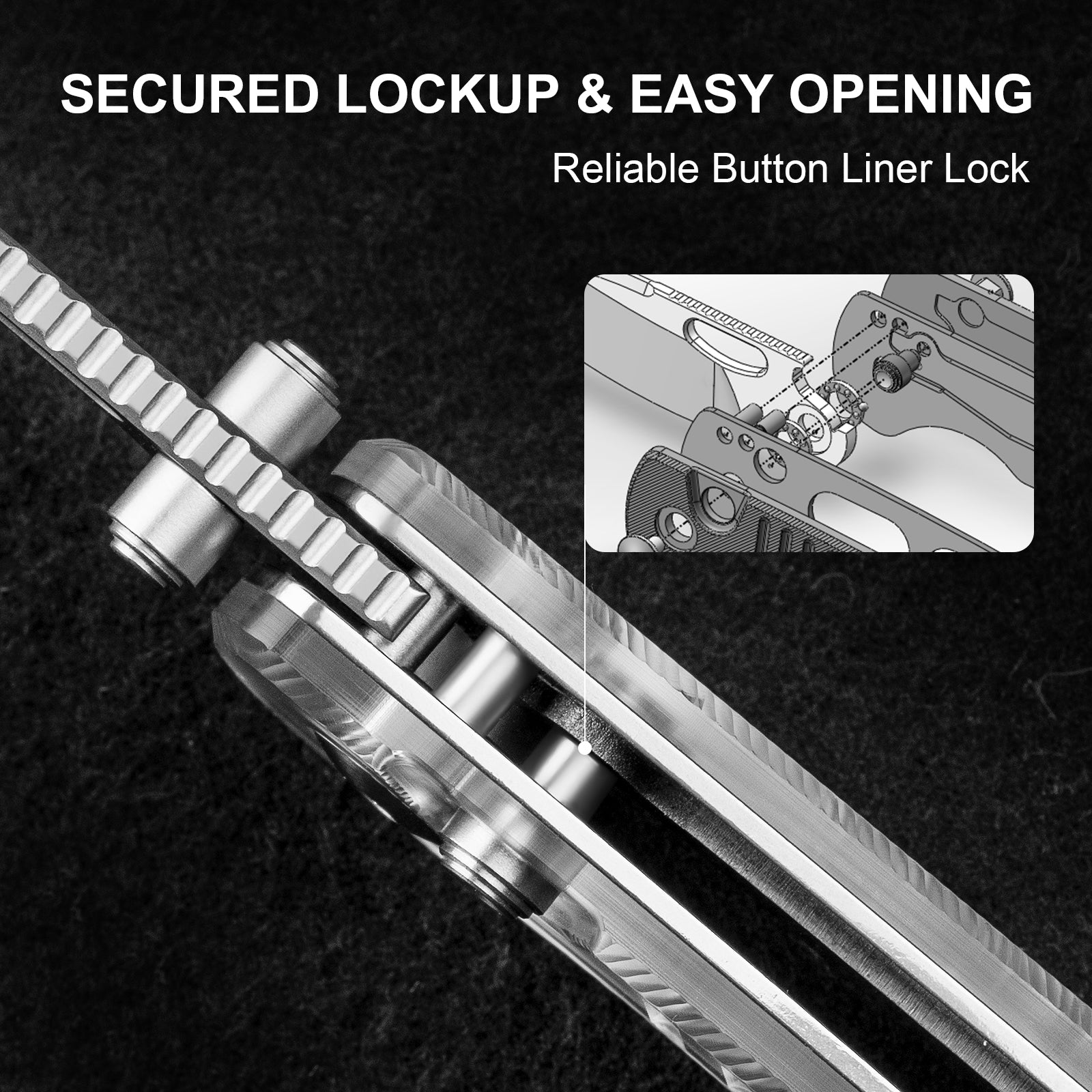 Parakeet | Nitro-V | Acrylic| V2706A2