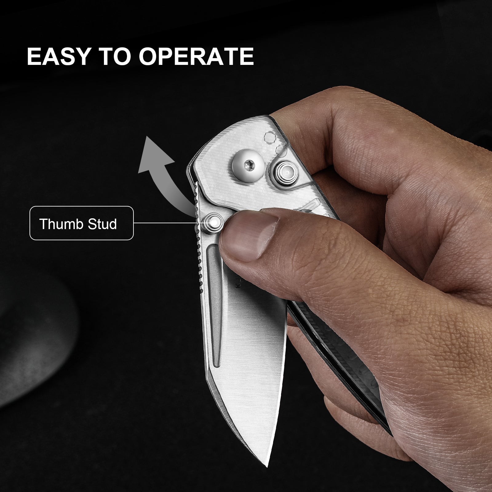 Parakeet | Nitro-V | Acrylic| V2706A2