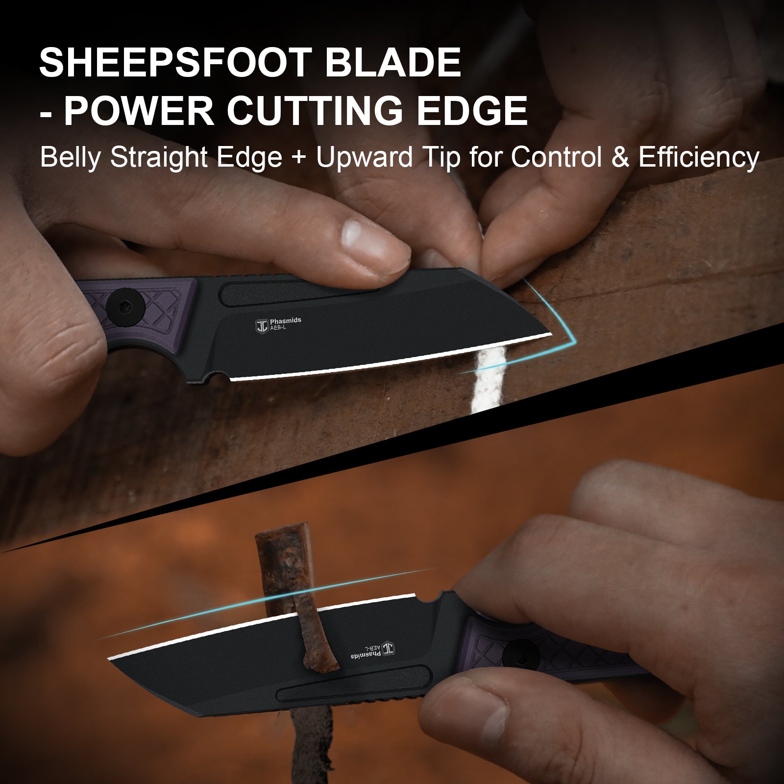 Phasmids | AEB-L | G10 | 1079A1