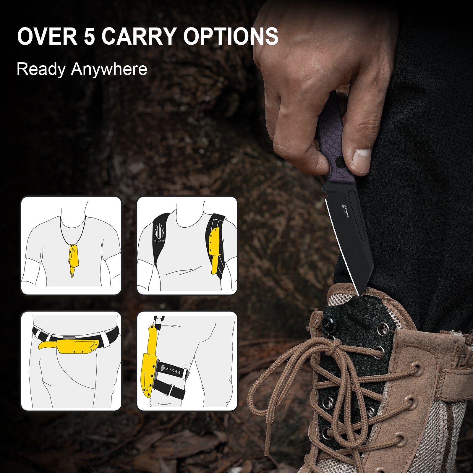 Phasmids | AEB-L | G10 | 1079A1