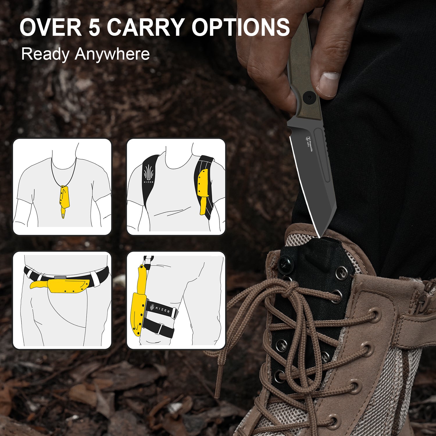 Phasmids | AEB-L | Chocolate Glacier | 1079A2