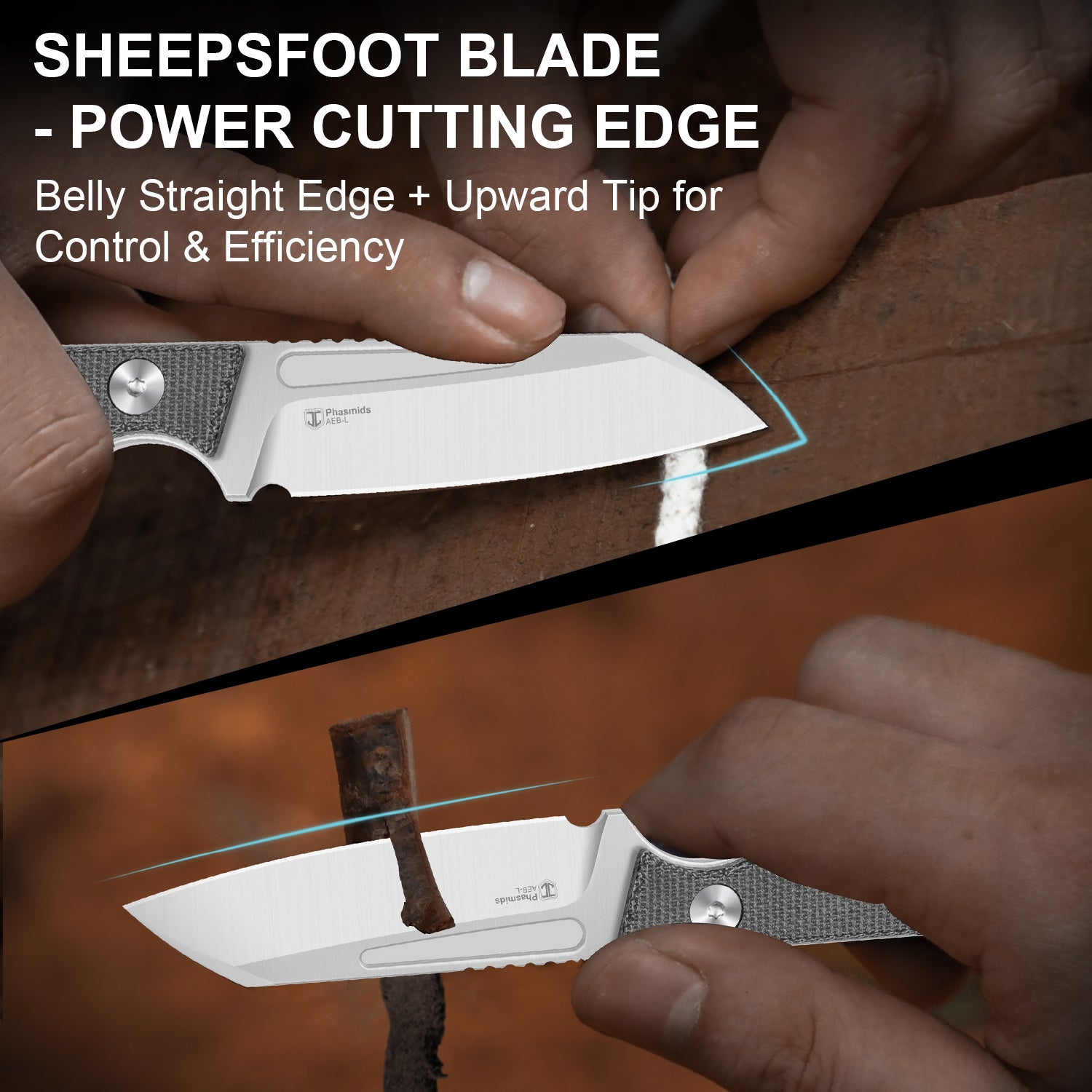 Phasmids | AEB-L | Micarta | 1079A3