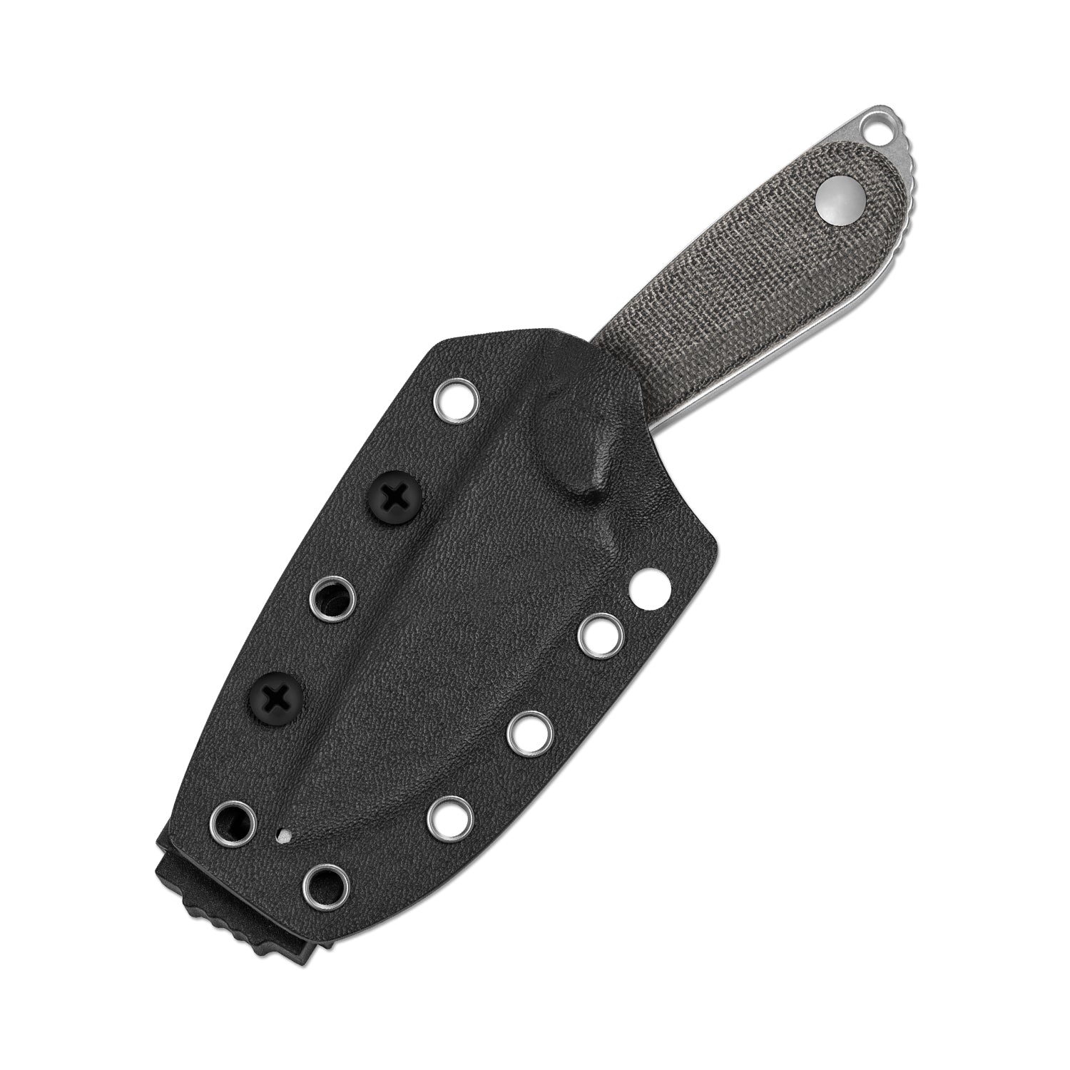 BUDDY | 14C28N | Micarta | KizerV™  1081A8