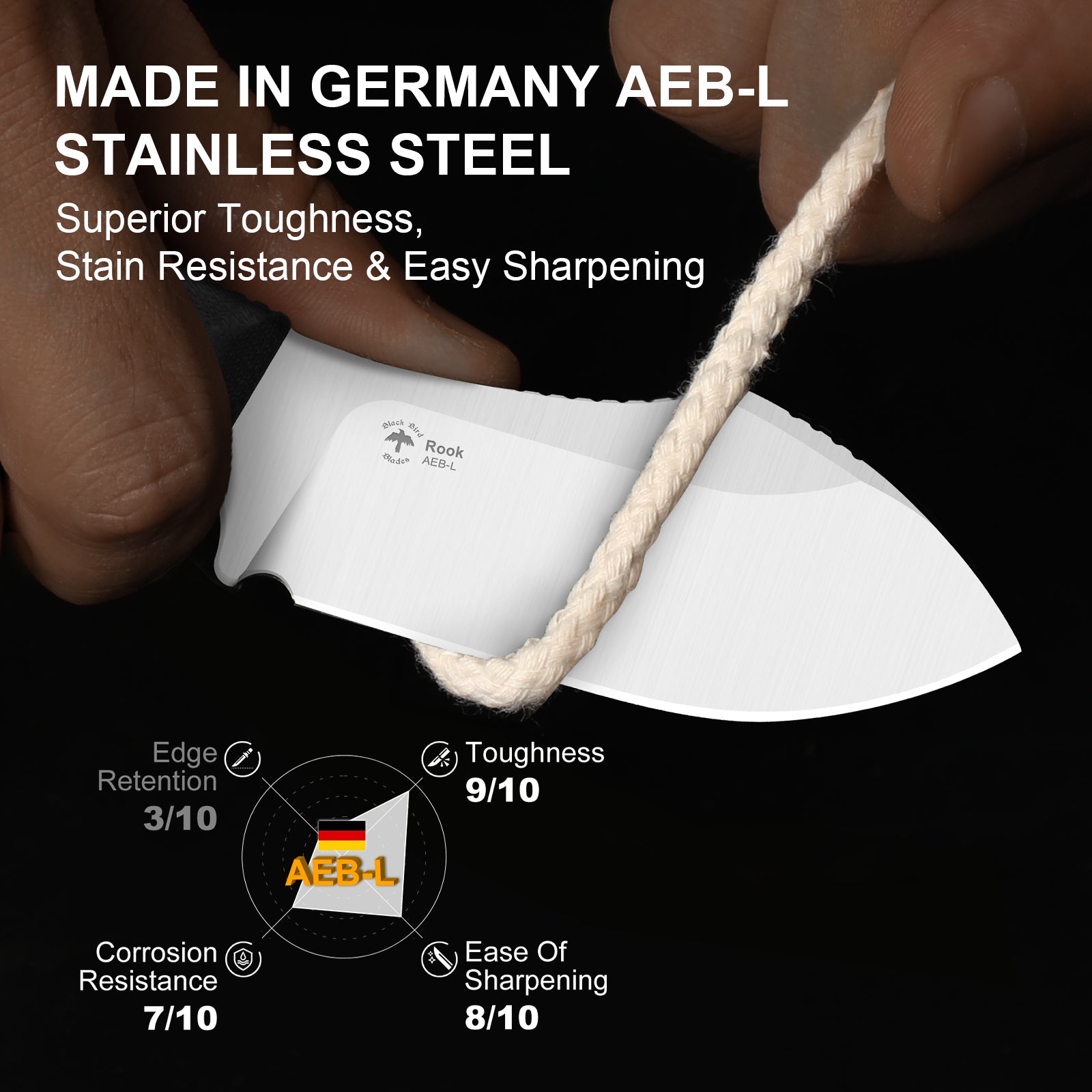 Rook | AEB-L | G10 | Fixed Blade | 1090A3