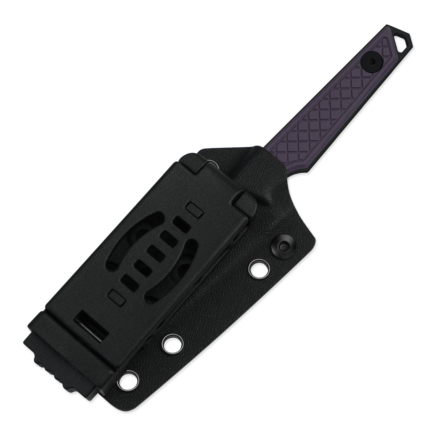 Phasmids | AEB-L | G10 | 1079A1