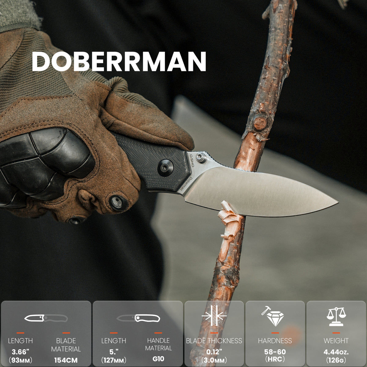 Doberman | 154CM | G10 | V4639C1
