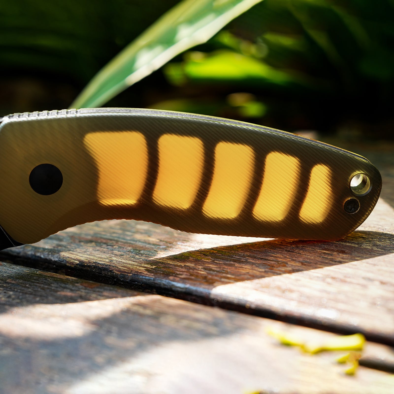 Hornet | Bee Belly Hollowed-out Handle | 14C28N | Fixed Blade | KizerV