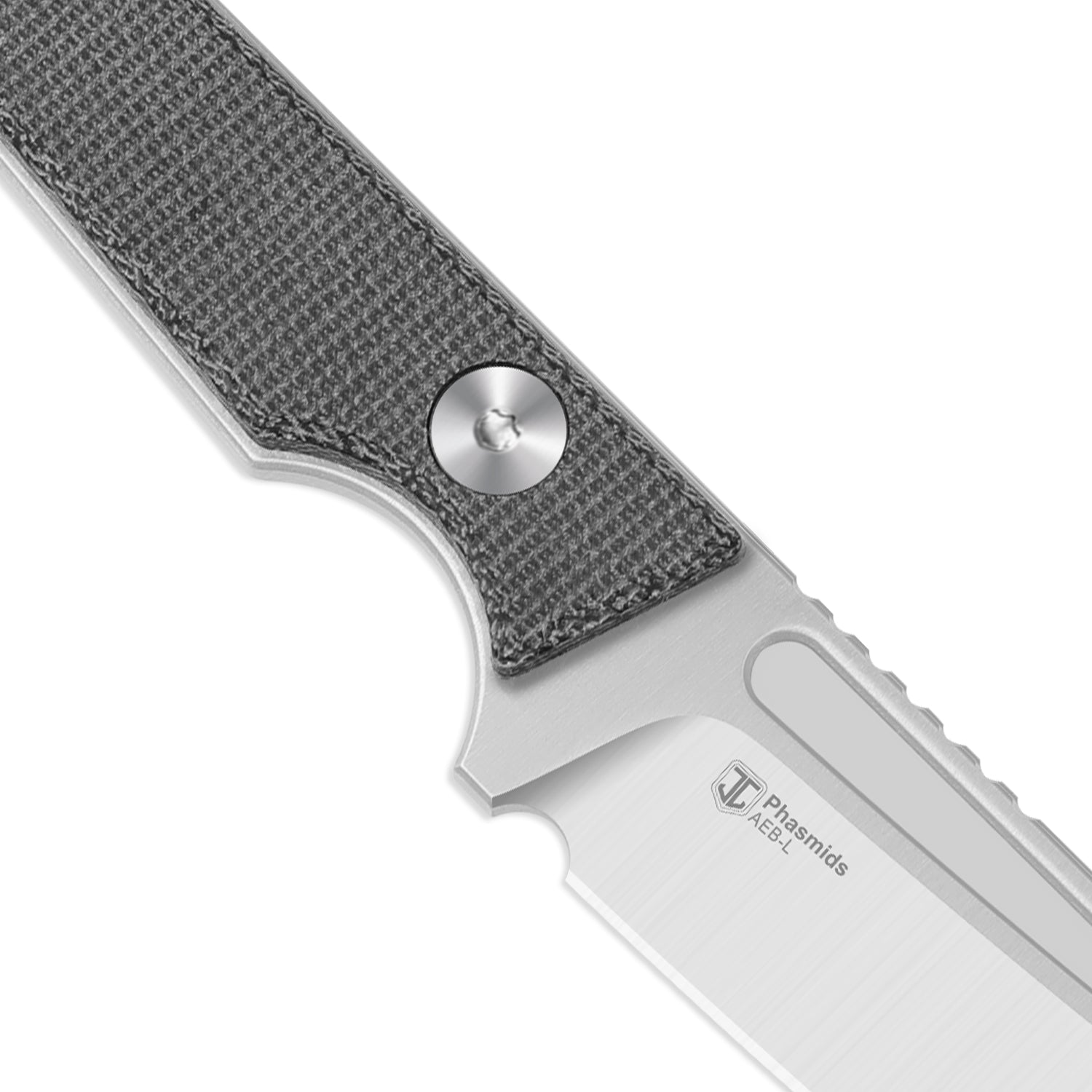 Phasmids | AEB-L | Micarta | 1079A3