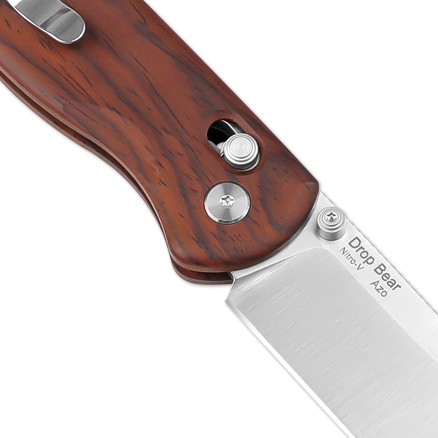 Kizer Drop Bear 2.97 inch NitroV Blade Wood Handle V3619A6-Kizer