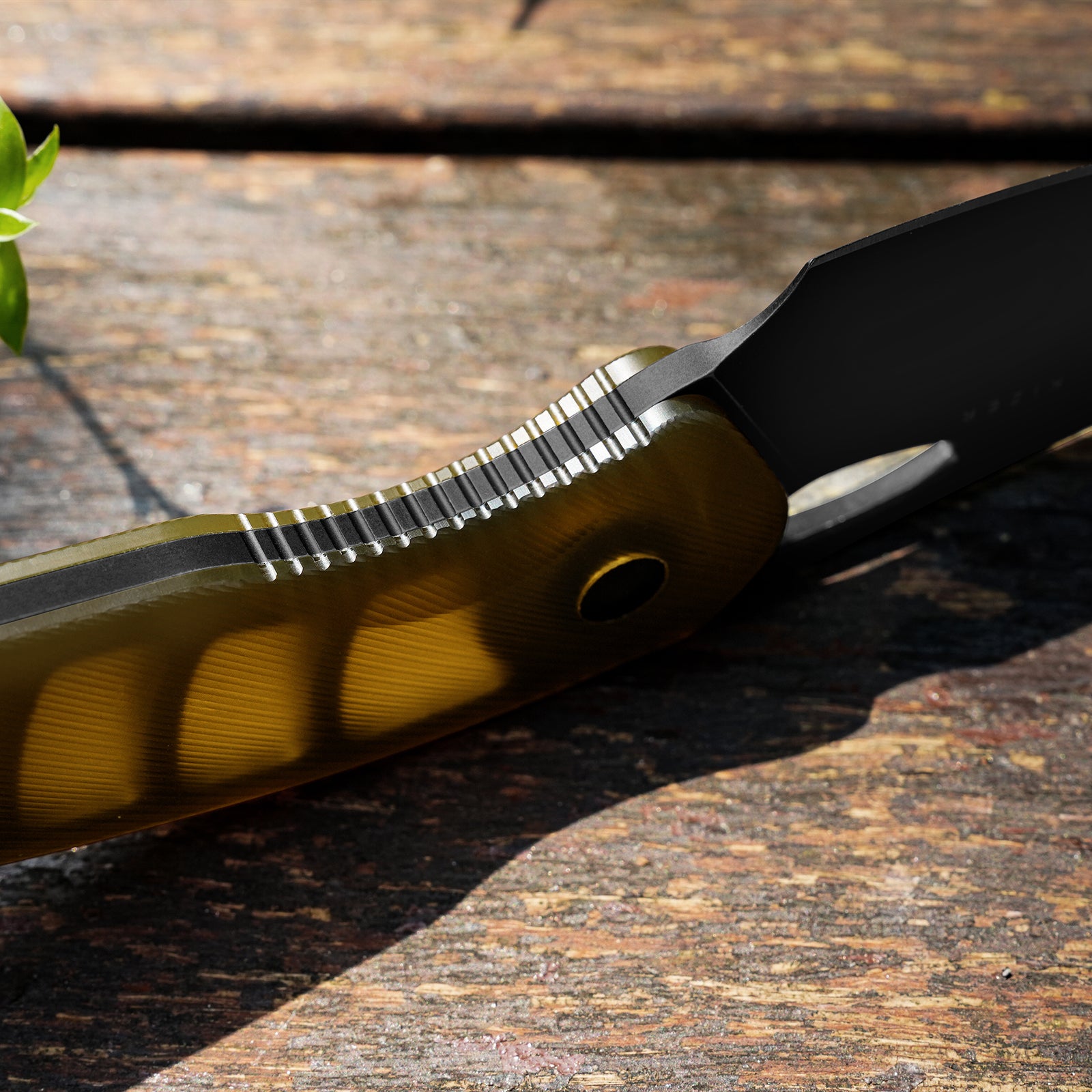 Hornet | Bee Belly Hollowed-out Handle | 14C28N | Fixed Blade | KizerV