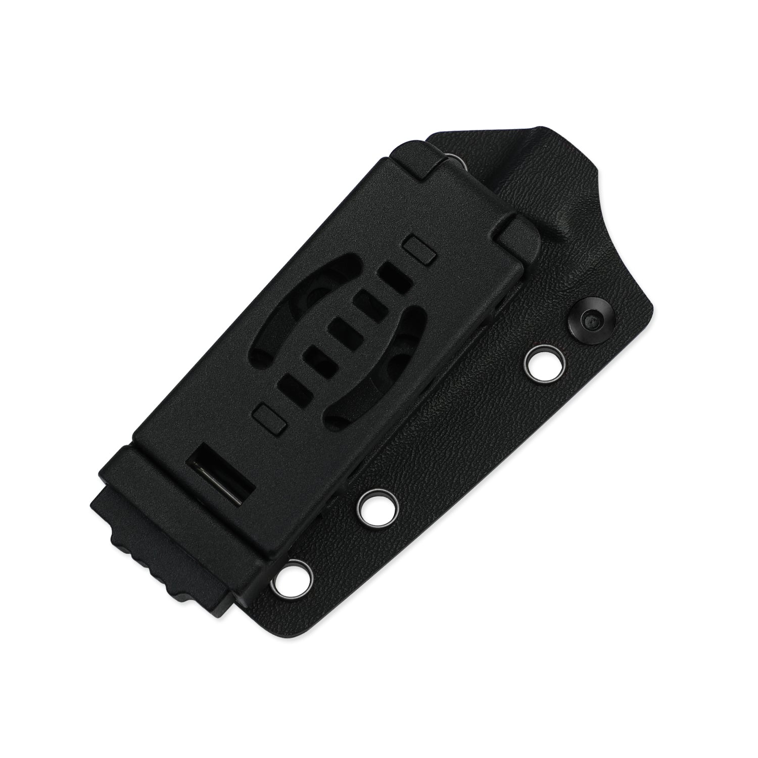 Phasmids | AEB-L | G10 | 1079A1