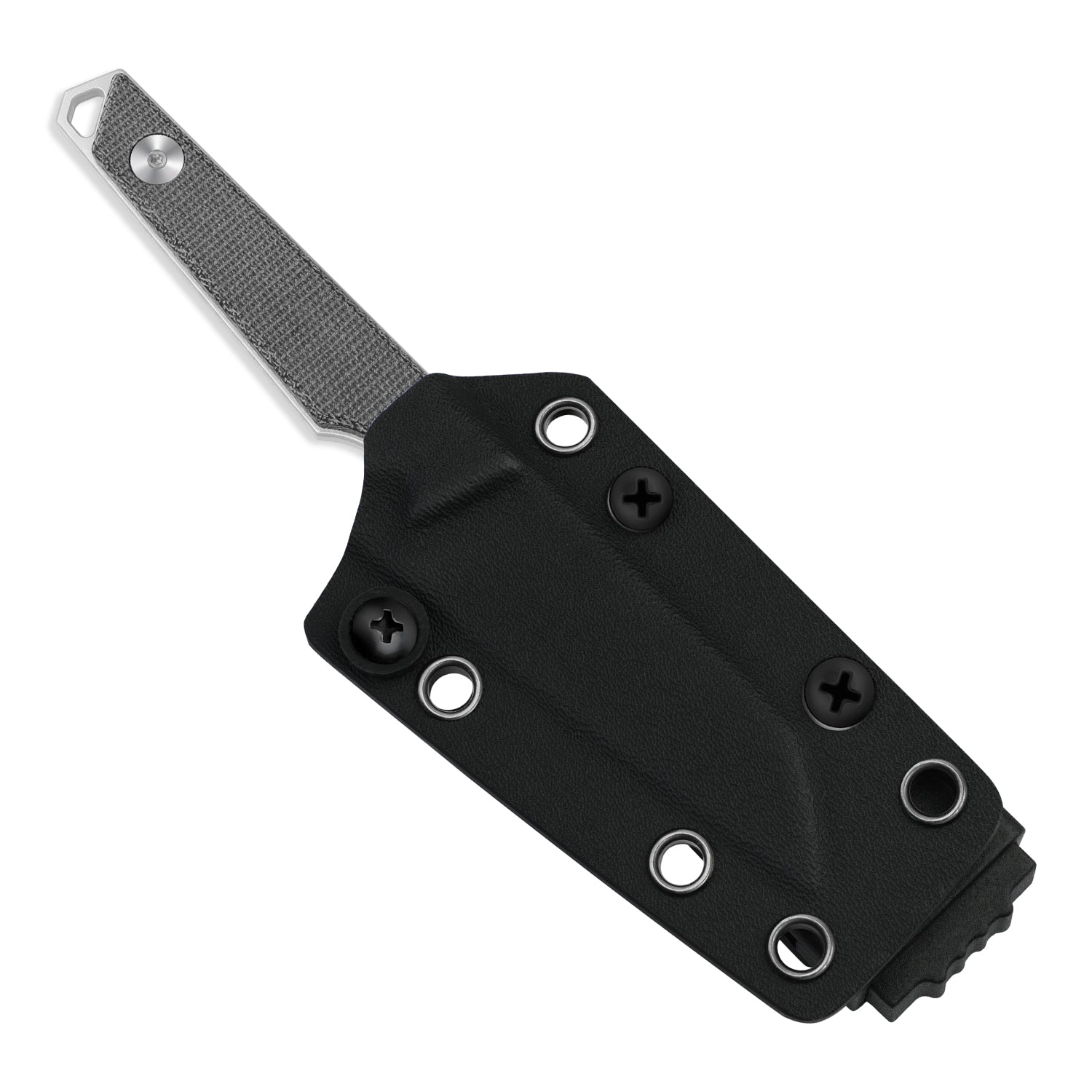 Phasmids | AEB-L | Micarta | 1079A3