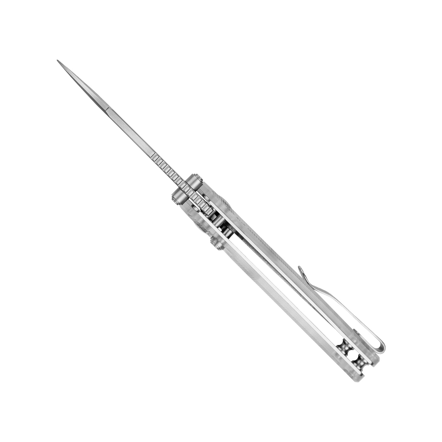 Parakeet | Nitro-V | Acrylic| V2706A2