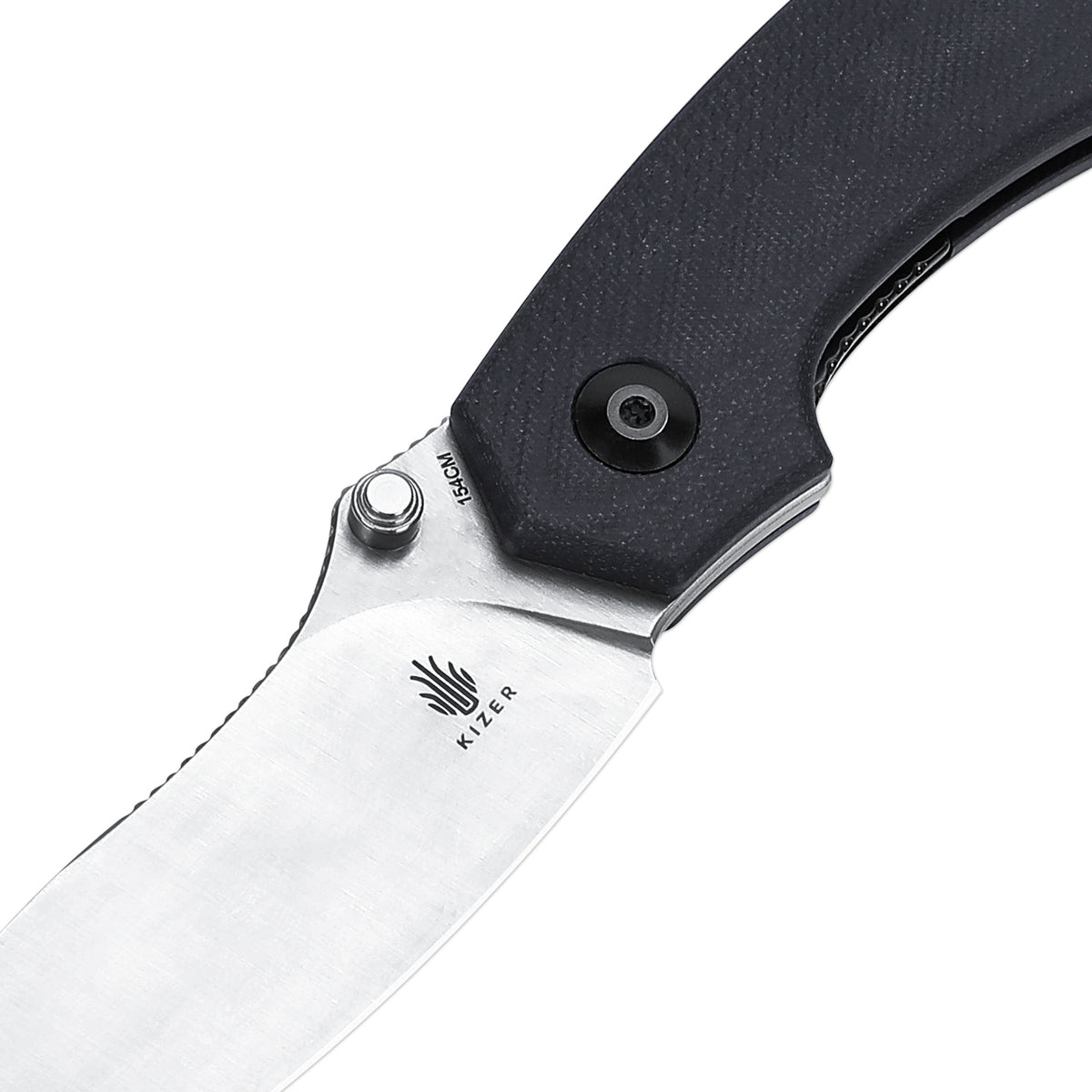 Doberman | 154CM | G10 | V4639C1